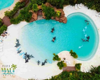 playa-hotel-playa-maui playa-hotel-playa-maui